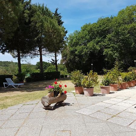 Locanda Il Boschetto Volterra Exterior photo